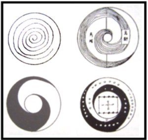 varie forme di tajji