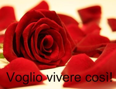 voglio vivere così