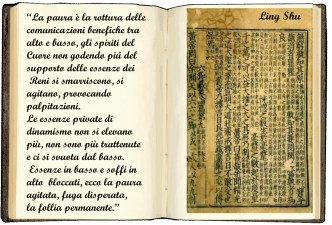 per scrivere nel  libro paura