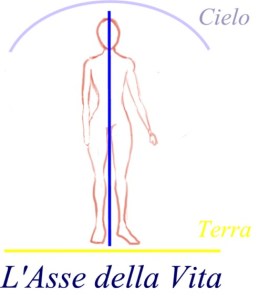 asse della vita