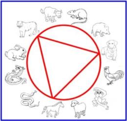 cane tigre cavallo web