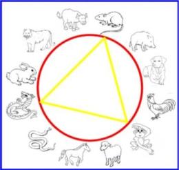 topo scimmia drago web