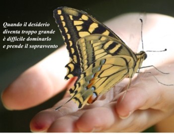 farfalla nella mano