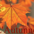 autunno