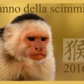 2 anno della scimmia&nbsp;2016