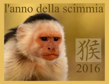 2 anno della scimmia 2016