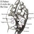 il palmo e i ba&nbsp;gua