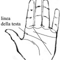 la linea della&nbsp;testa