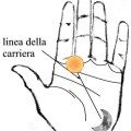 linea della carriera