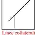 linee collaterali