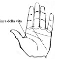 rottura della linea della&nbsp;vita