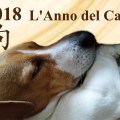 2018 anno del&nbsp;cane